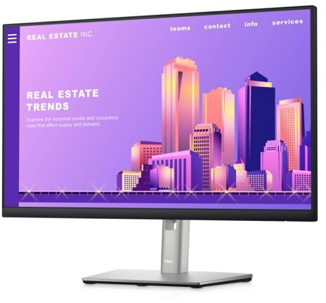 DELL P2422H モニター本体 Dell P2422H [210-BBCC] | SoloTodo.cl