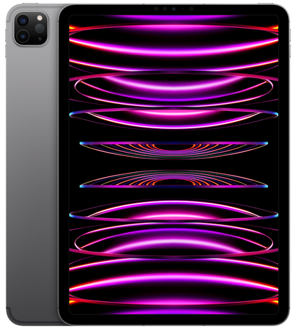 Apple iPad Pro 12.9 2022 (Wi-Fi / 256 GB / Space Gray) [MNXR3CI/A