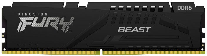 Kingston Fury Beast KF556C36BBE-32 (1 x 32 GB | DIMM DDR5-5600