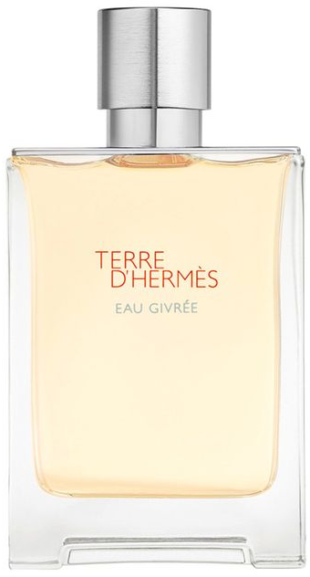 Hermès Terre d'Hermès Eau Givrée (Eau de Parfum (EDP) / 100 mL